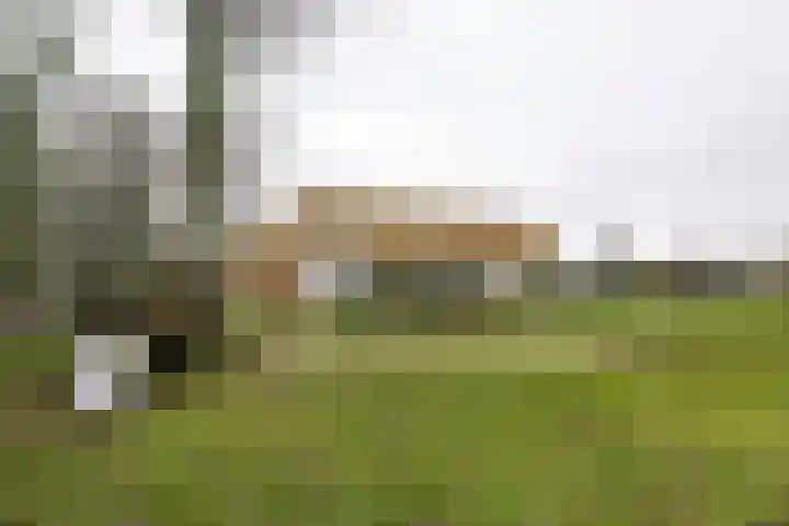 Biancaland 119 Den Haag thumbnail 23