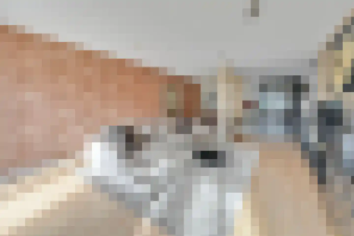 Biancaland 23 Den Haag thumbnail 5