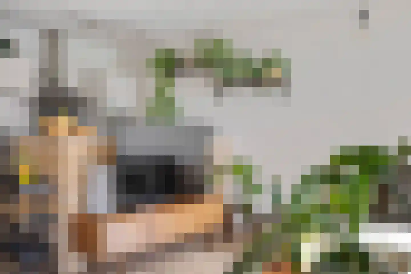 Biarritzplein 8 Eindhoven thumbnail 15