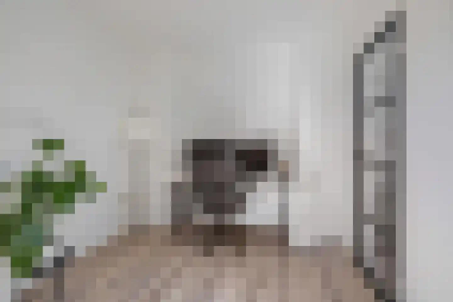Biarritzplein 8 Eindhoven thumbnail 20
