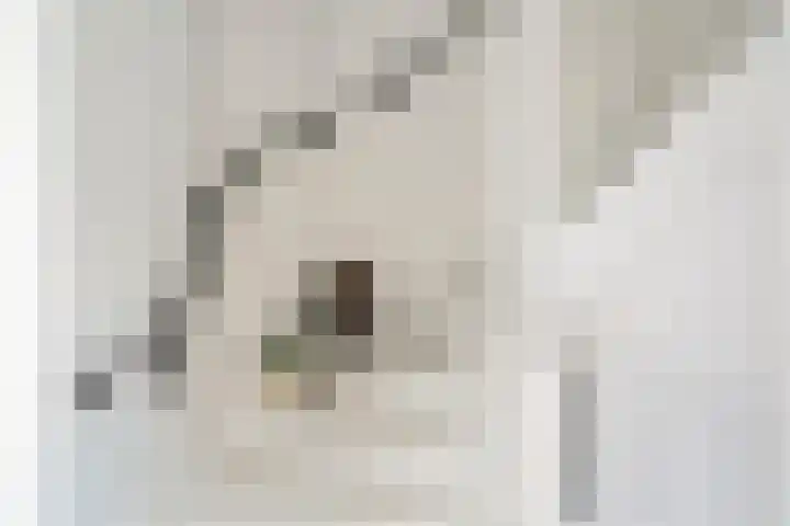 Biatlon 25 Assendelft thumbnail 16