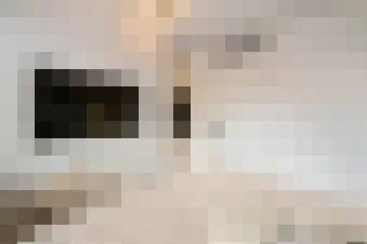 Biatlon 25 Assendelft thumbnail 19