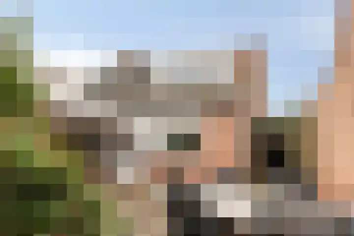 Bibenstraat 16 Hellendoorn thumbnail 5