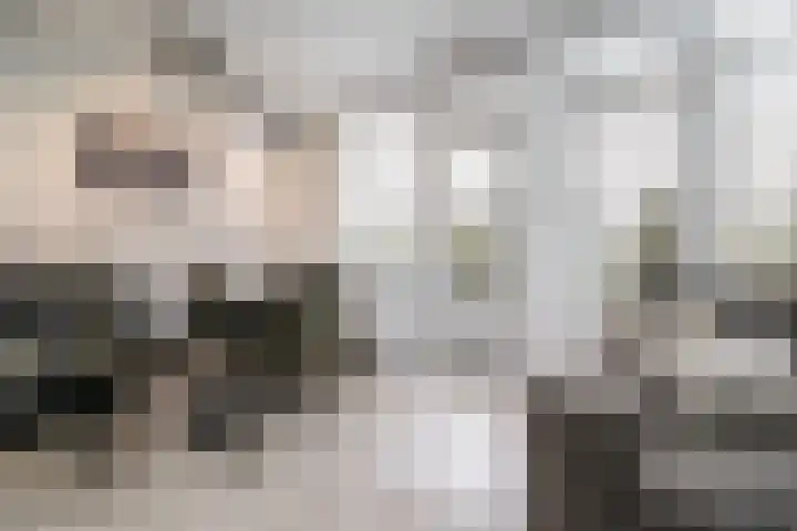 Bichon van IJsselmondelaan 18 Rotterdam thumbnail 12