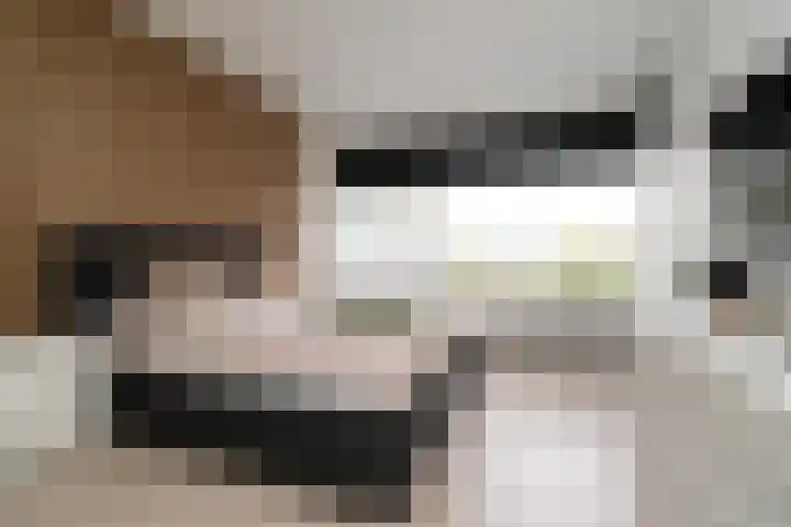 Bichon van IJsselmondelaan 18 Rotterdam thumbnail 13