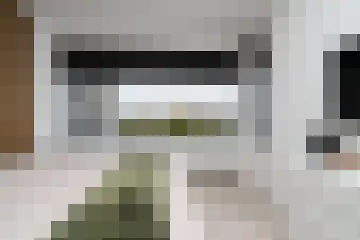Bichon van IJsselmondelaan 18 Rotterdam thumbnail 14