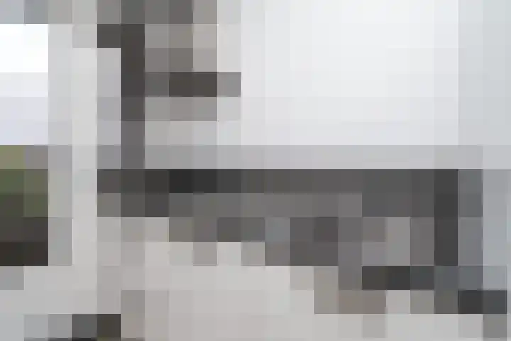 Bichon van IJsselmondelaan 18 Rotterdam thumbnail 16