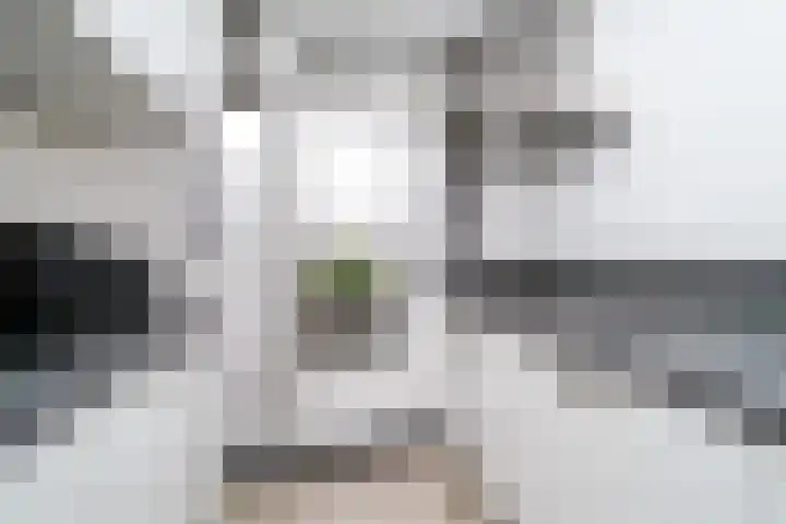 Bichon van IJsselmondelaan 18 Rotterdam thumbnail 17