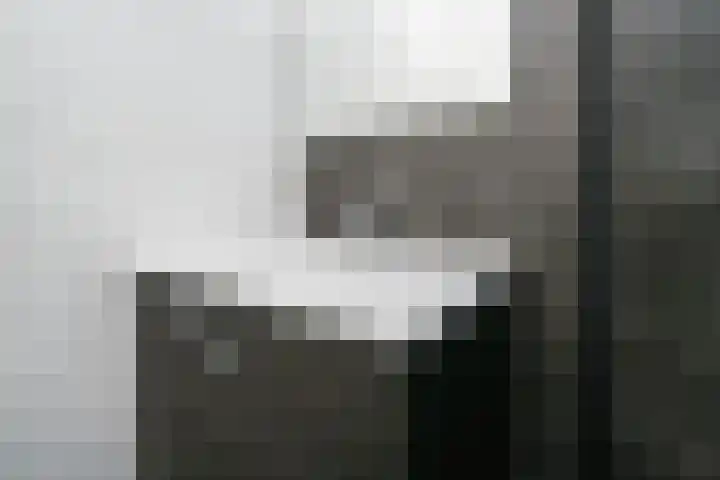 Bichon van IJsselmondelaan 18 Rotterdam thumbnail 21