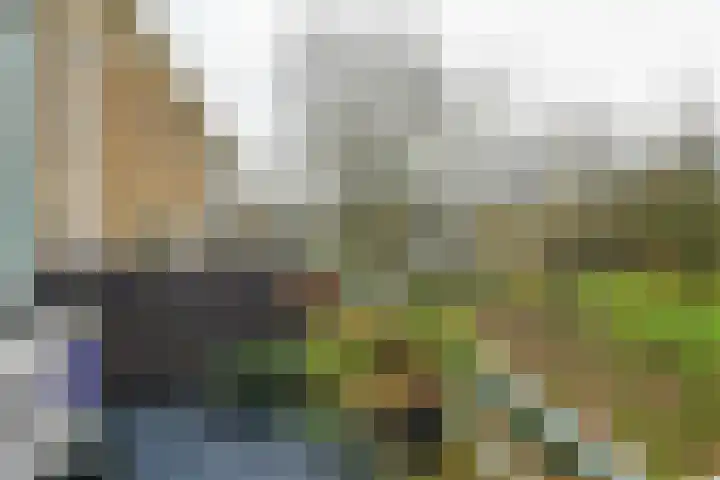 Bichon van IJsselmondelaan 18 Rotterdam thumbnail 30