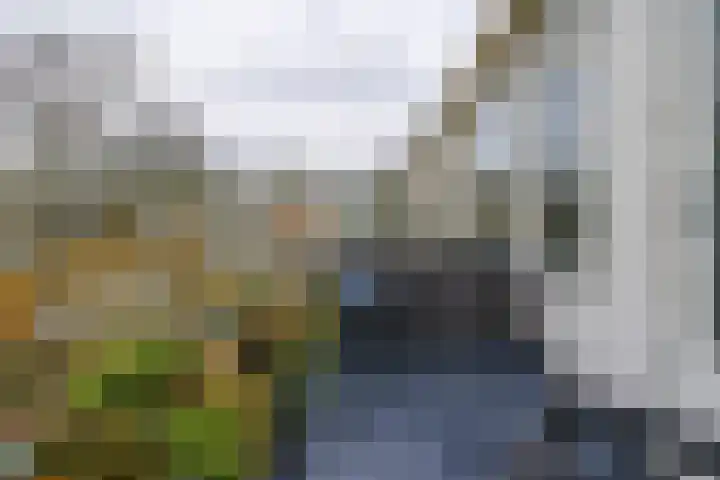 Bichon van IJsselmondelaan 18 Rotterdam thumbnail 31