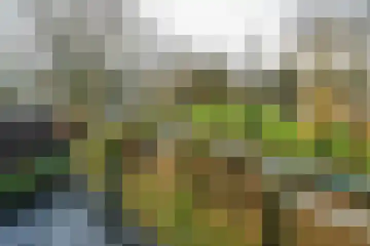 Bichon van IJsselmondelaan 18 Rotterdam thumbnail 32