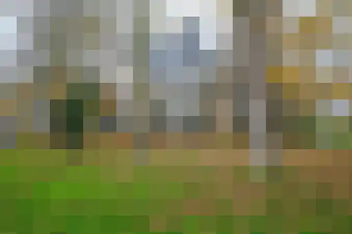 Bichon van IJsselmondelaan 18 Rotterdam thumbnail 33