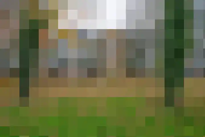 Bichon van IJsselmondelaan 18 Rotterdam thumbnail 34