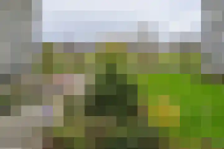 Bichon van IJsselmondelaan 18 Rotterdam thumbnail 35