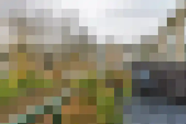 Bichon van IJsselmondelaan 18 Rotterdam thumbnail 4