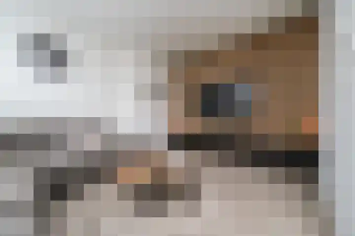 Bichon van IJsselmondelaan 18 Rotterdam thumbnail 6