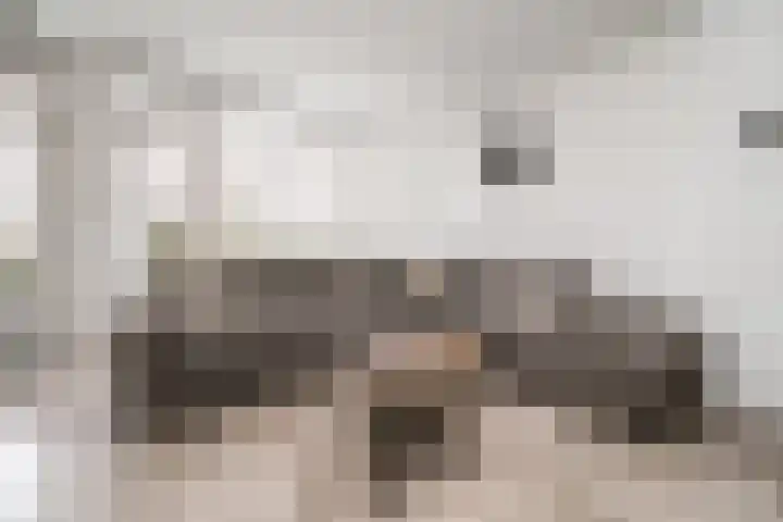 Bichon van IJsselmondelaan 18 Rotterdam thumbnail 7