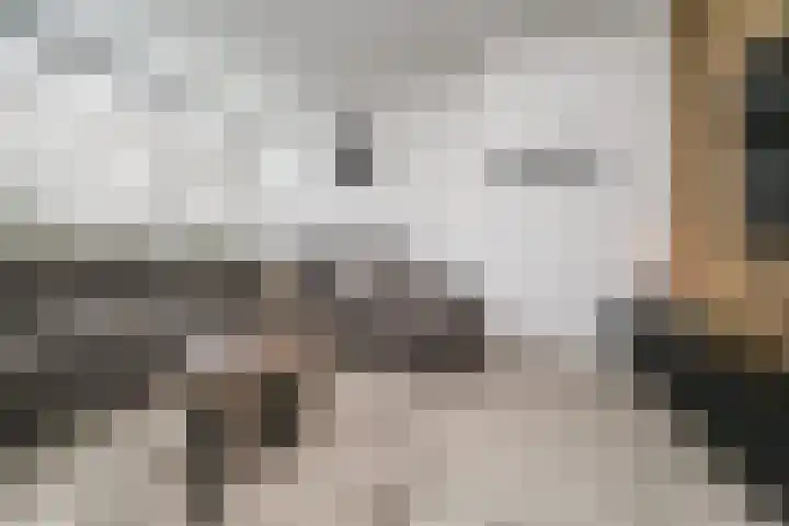 Bichon van IJsselmondelaan 18 Rotterdam thumbnail 8