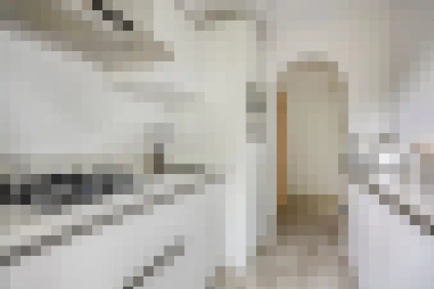 Bichon van IJsselmondelaan 52 Rotterdam thumbnail 14