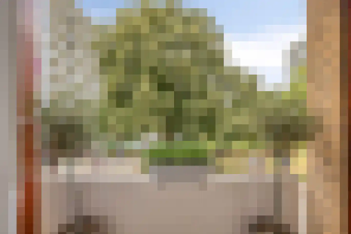 Bichon van IJsselmondelaan 52 Rotterdam thumbnail 15