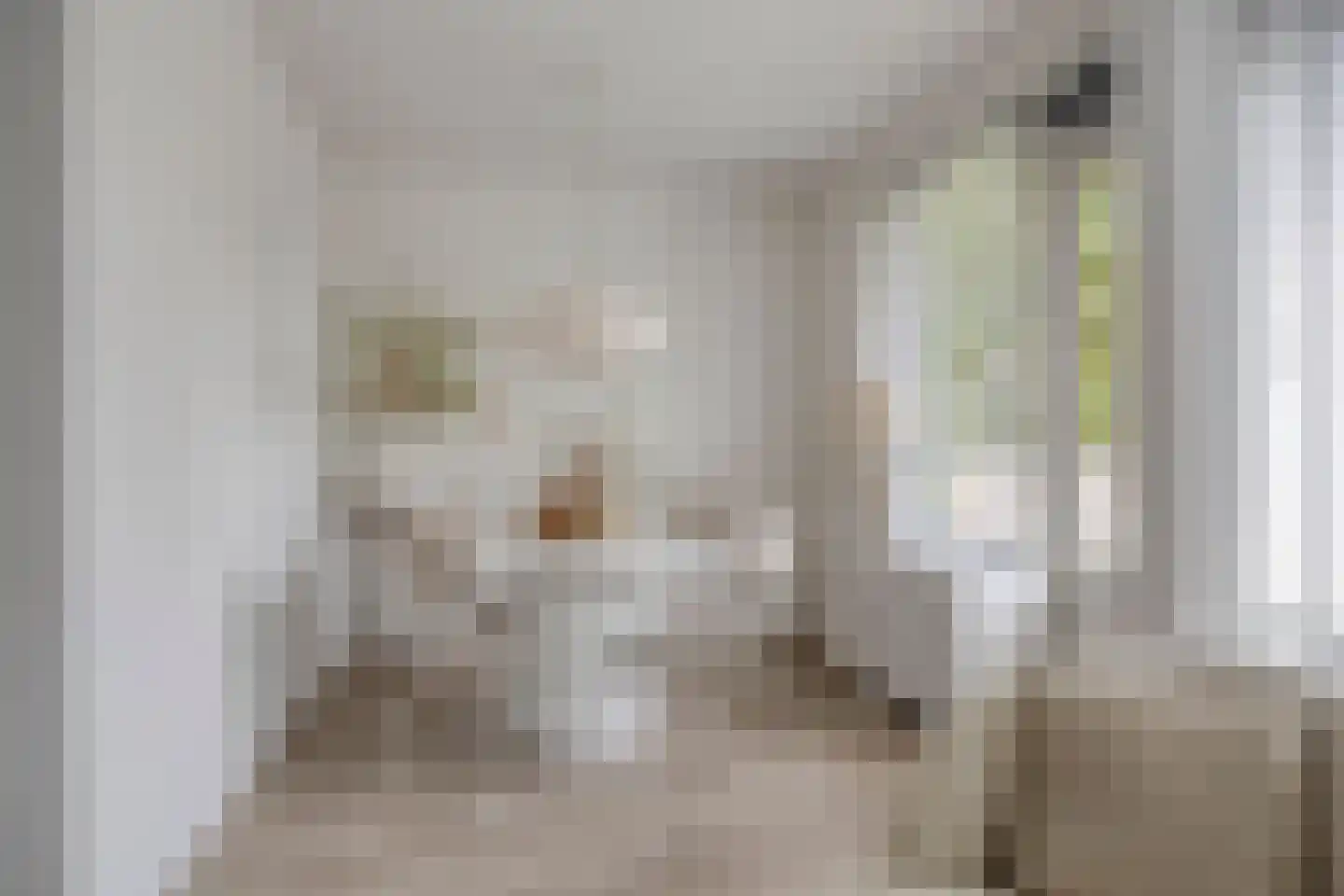 Bichon van IJsselmondelaan 52 Rotterdam thumbnail 7