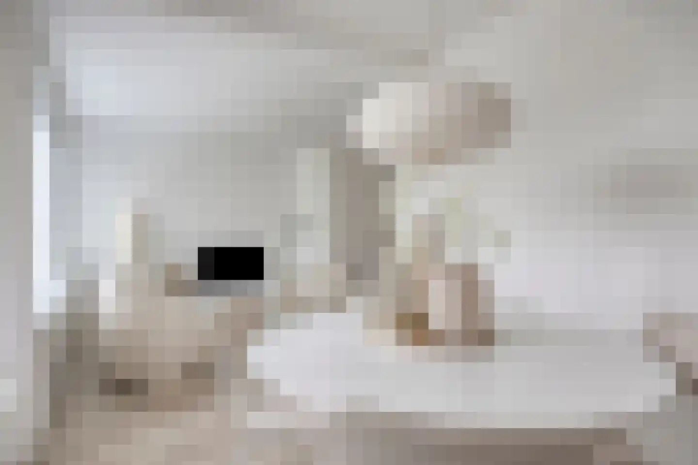 Bichon van IJsselmondelaan 52 Rotterdam thumbnail 8