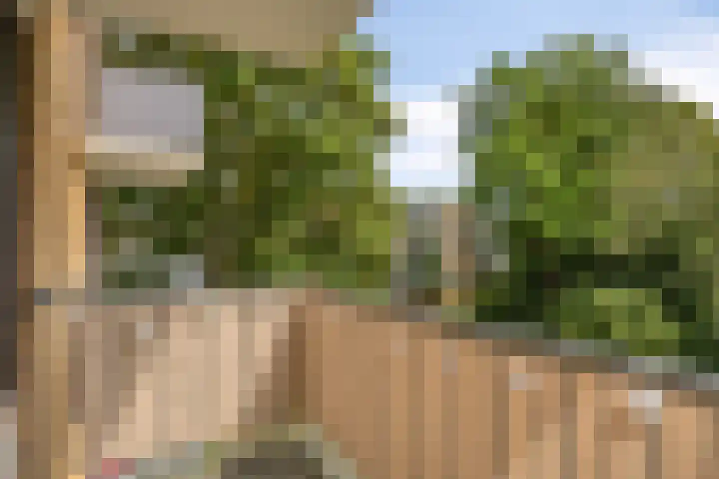 Bichon van IJsselmondelaan 52 Rotterdam thumbnail 9