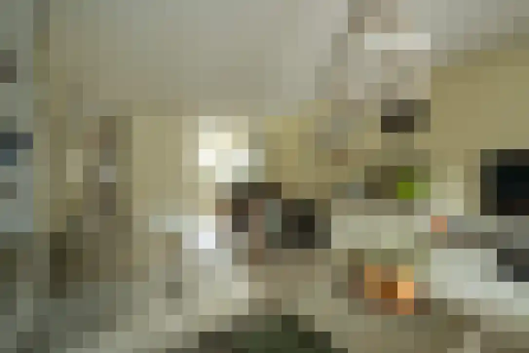 Bickelenberg 9 Zijderveld thumbnail 13