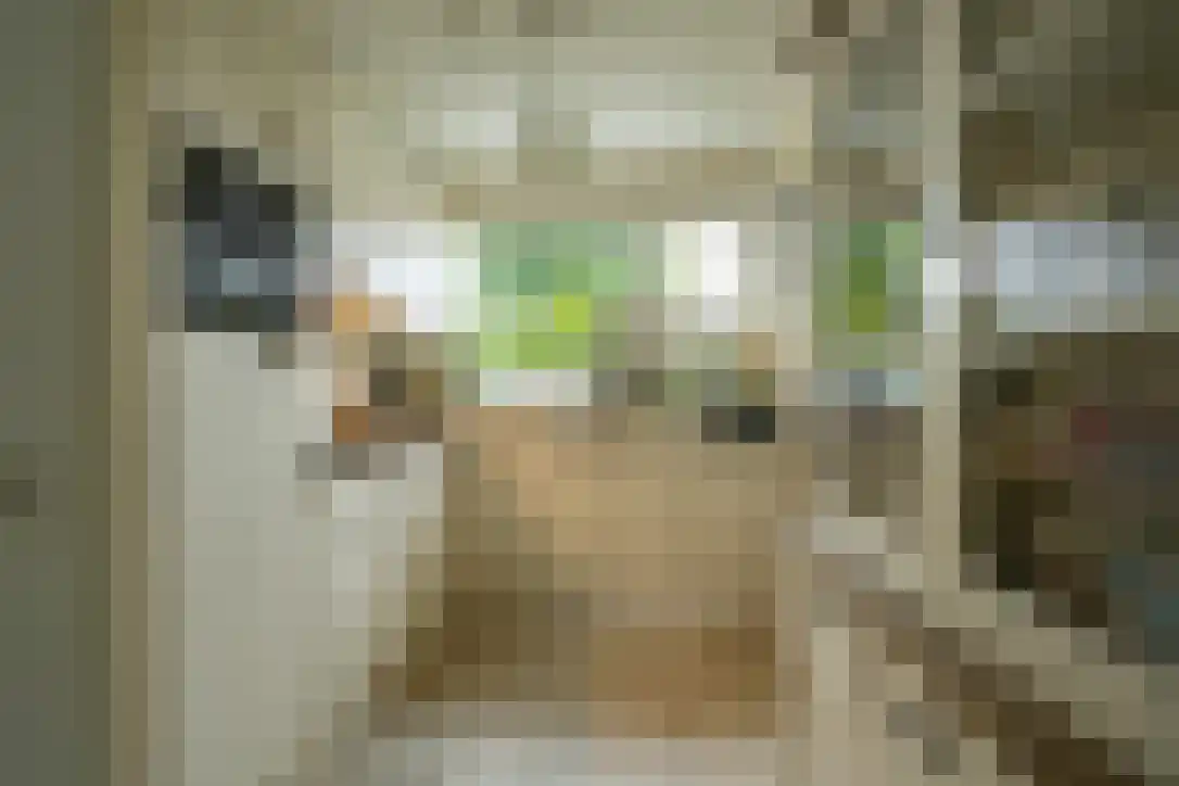 Bickelenberg 9 Zijderveld thumbnail 15