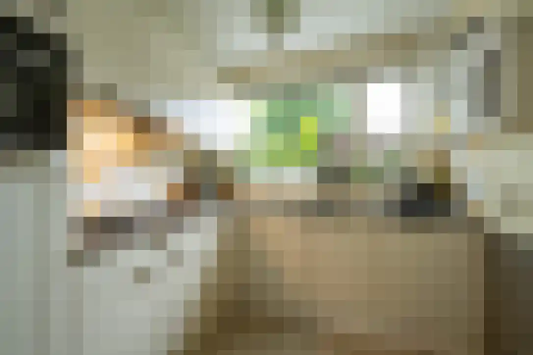 Bickelenberg 9 Zijderveld thumbnail 17