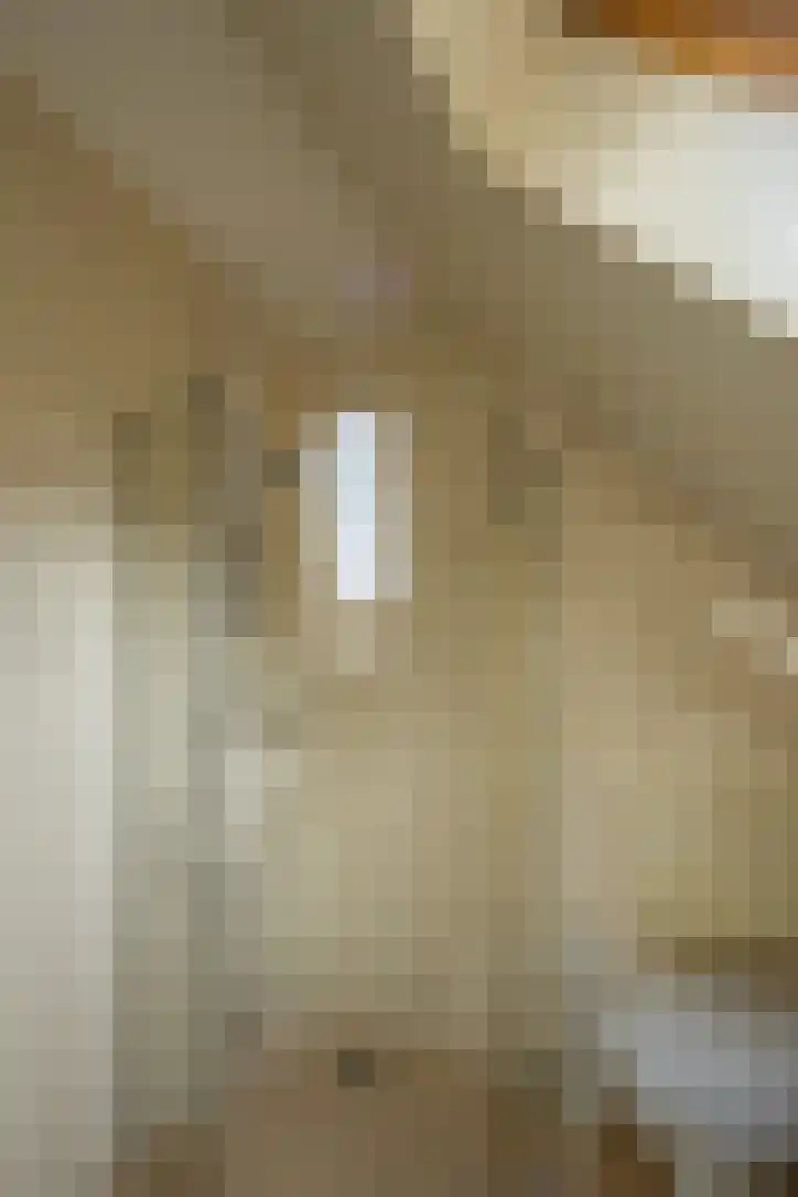Bickelenberg 9 Zijderveld thumbnail 31