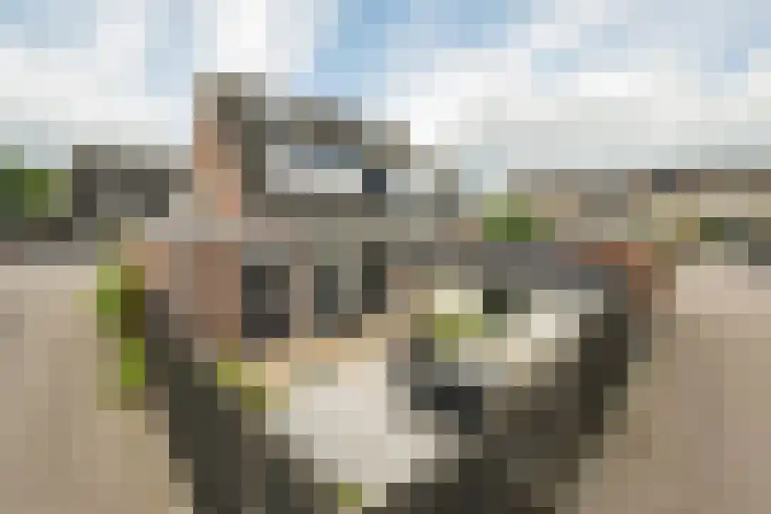 Bickelenberg 9 Zijderveld thumbnail 5