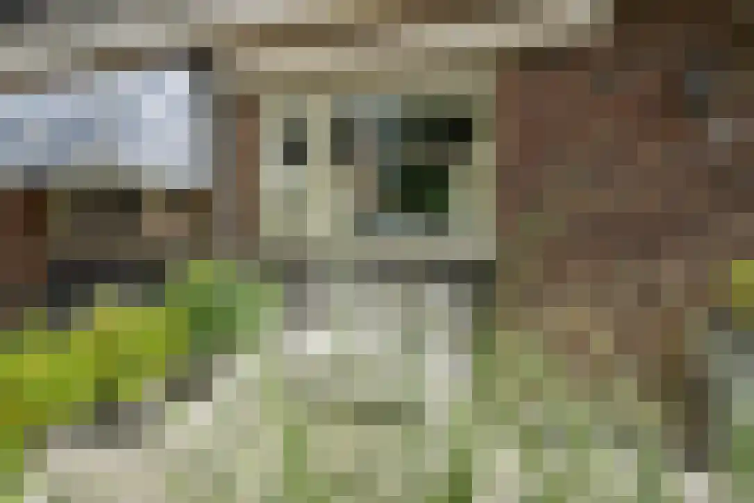 Bickelenberg 9 Zijderveld thumbnail 6