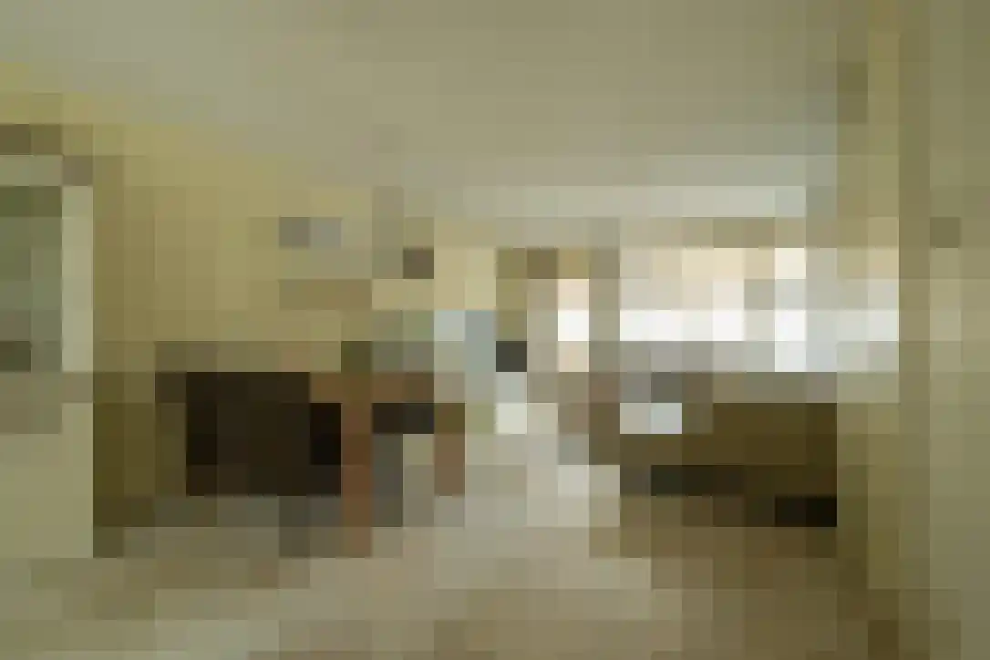 Bickelenberg 9 Zijderveld thumbnail 9