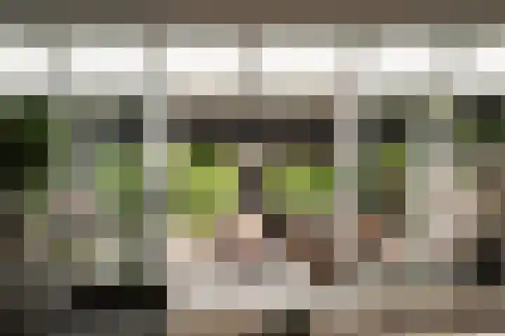 Bickerlaan 4 Santpoort-Noord thumbnail 14