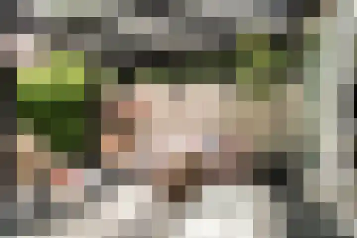Bickerlaan 4 Santpoort-Noord thumbnail 16