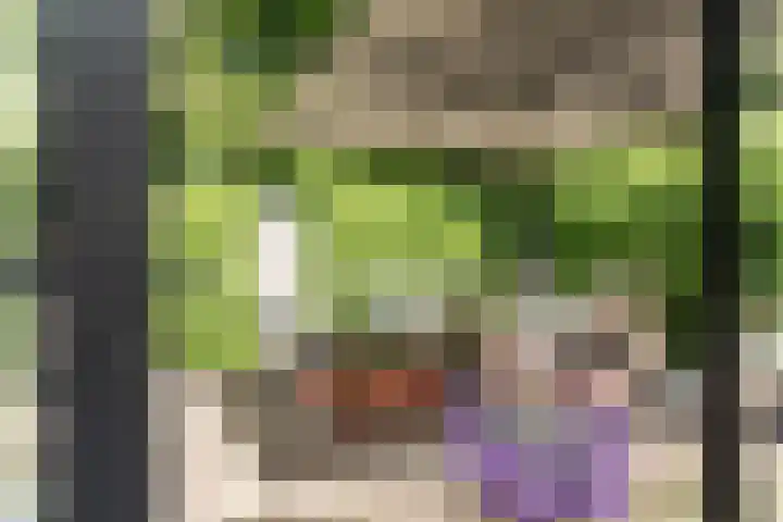 Bickerlaan 4 Santpoort-Noord thumbnail 17