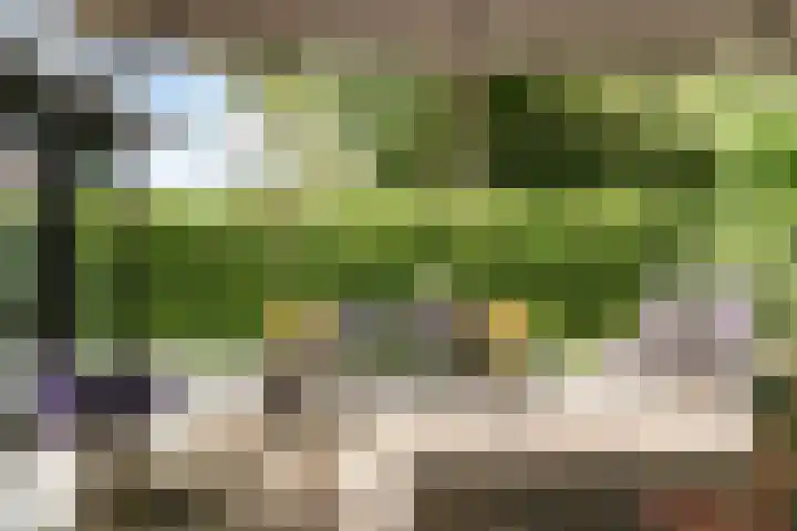 Bickerlaan 4 Santpoort-Noord thumbnail 18
