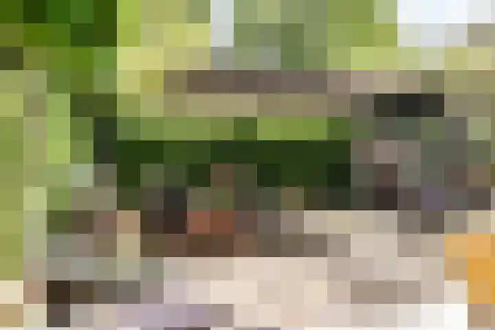 Bickerlaan 4 Santpoort-Noord thumbnail 19