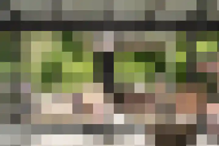 Bickerlaan 4 Santpoort-Noord thumbnail 20