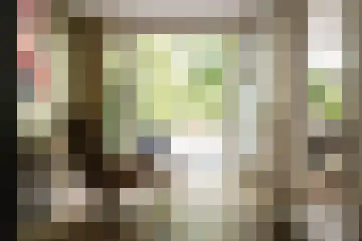 Bickerlaan 4 Santpoort-Noord thumbnail 21