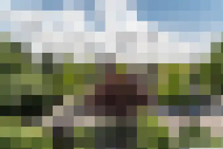 Bickerlaan 4 Santpoort-Noord thumbnail 24