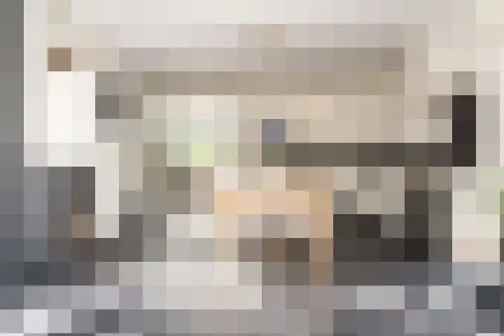 Bickerlaan 4 Santpoort-Noord thumbnail 4
