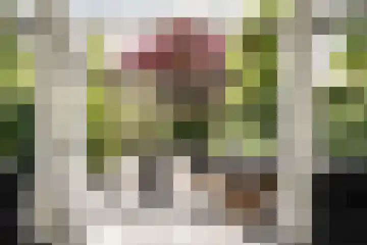 Bickerlaan 4 Santpoort-Noord thumbnail 5