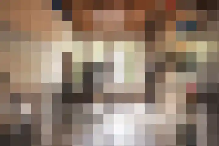 Bickerlaan 4 Santpoort-Noord thumbnail 6