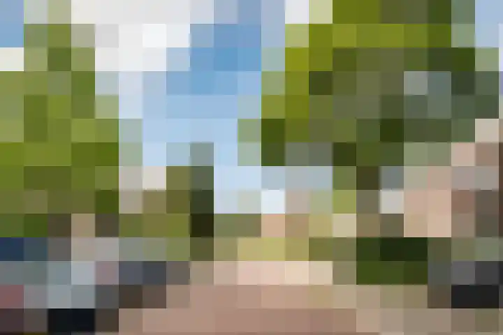 Bickerlaan 4 Santpoort-Noord thumbnail 7