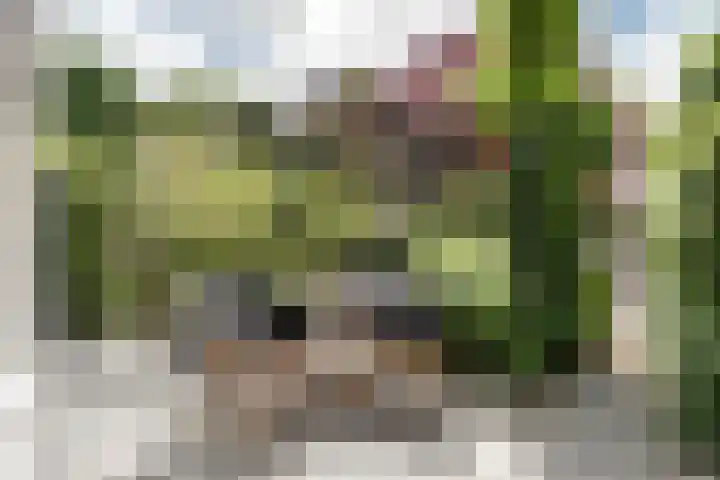Bickerlaan 4 Santpoort-Noord thumbnail 8