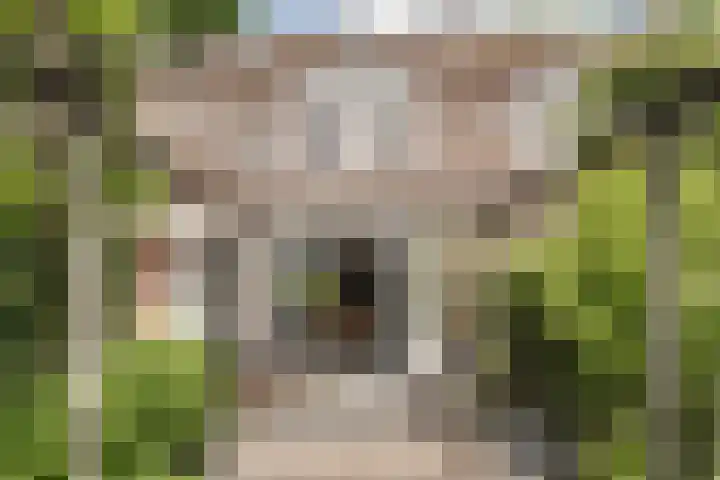 Bickerlaan 4 Santpoort-Noord thumbnail 9
