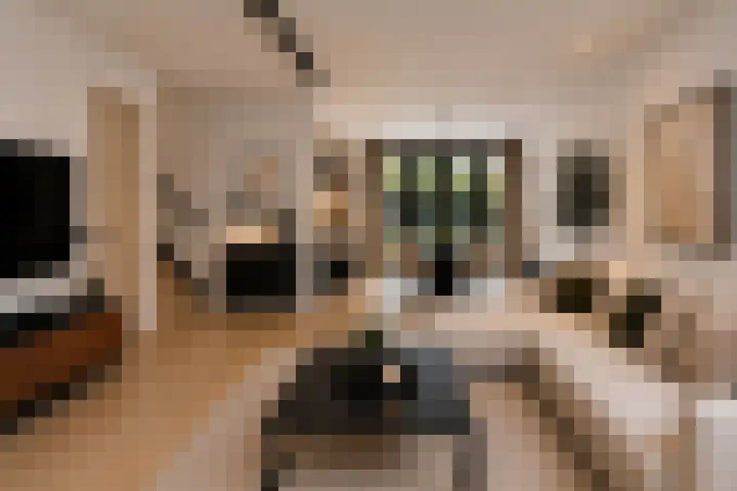 Bickerlaan 78 Santpoort-Noord thumbnail 11